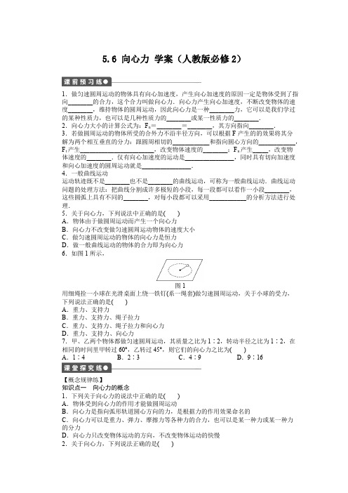 高一物理新人教版必修二学案 5.6 向心力