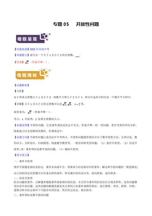 专题05 开放性问题-2020年中考数学母题题源解密(河南专版)(解析版)