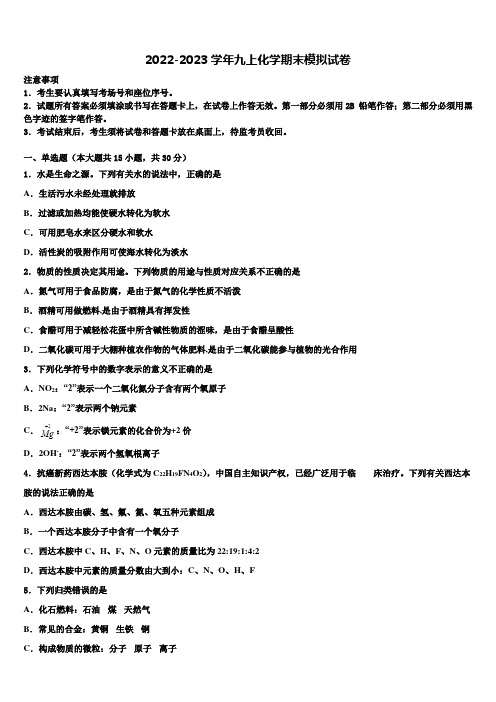 2022-2023学年山东省枣庄市山亭区化学九年级第一学期期末经典试题含解析