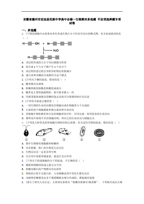 安徽省滁州市定远县民族中学高中必修一生物期末多选题 不定项选择题专项试卷