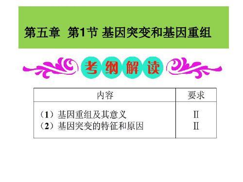 人教版高中生物必修(二) 5.1基因突变与基因重组    课件   (共34张PPT)