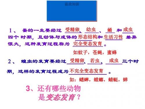 两栖动物的生殖和发育课件(共24张PPT)