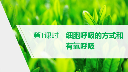 新人教版生物必修1细胞呼吸的方式和有氧呼吸(33张)课件