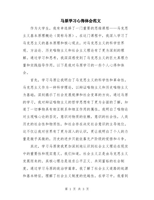 马原学习心得体会范文