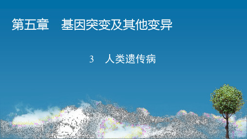 2020-2021 学年高一生物人教版必修二5.3人类遗传病课件