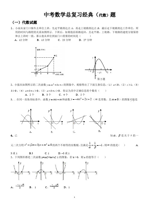 中考数学总复习经典(代数)试题