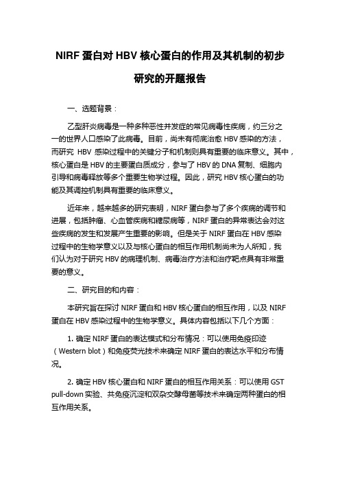 NIRF蛋白对HBV核心蛋白的作用及其机制的初步研究的开题报告