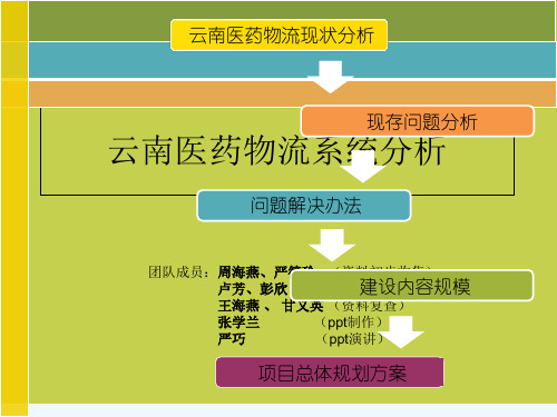 云南医药物流系统分析