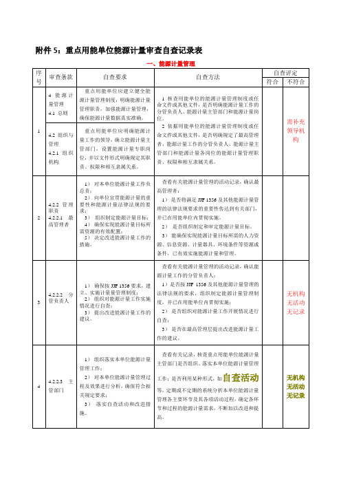 重点用能单位能源计量审查自查记录表