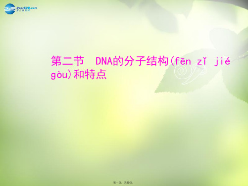 高中生物 第三章 遗传的分子基础 第二节 DNA的分子结构和特点课件 浙科版必修2