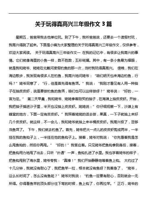 关于玩得真高兴三年级作文3篇