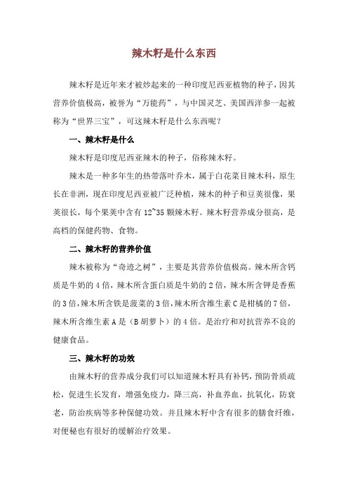 辣木籽是什么东西