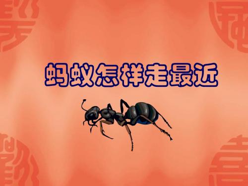 蚂蚁怎样走最近[上学期]--北师大版-(新2019)