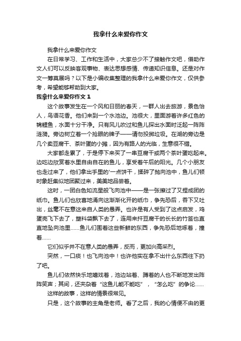 我拿什么来爱你作文