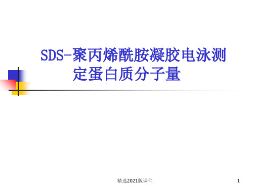 SDS-聚丙烯酰胺凝胶电泳测定蛋白质分子量