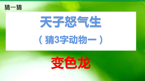 [新教材]九年级语文部编版下册《变色龙》优秀PPT课件(75页)