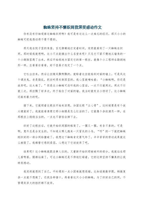 蜘蛛坚持不懈织网我深受感动作文