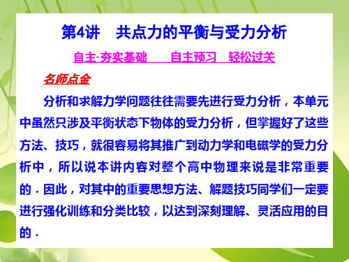 高考物理一轮总复习课件(共点力的平衡与受力分析).ppt