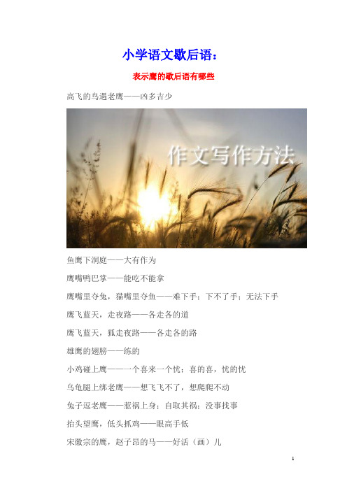 小学语文歇后语：表示鹰的歇后语