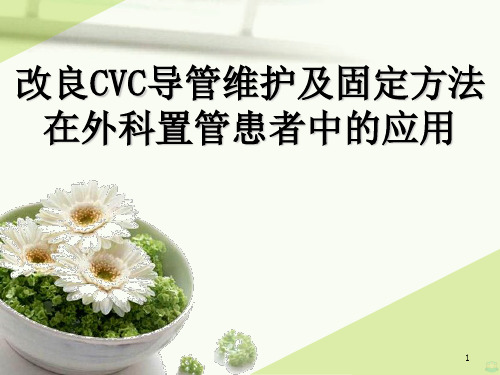 新技术新业务CVC导管ppt课件