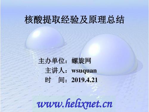 核酸提取经验及原理总结-PPT文档资料