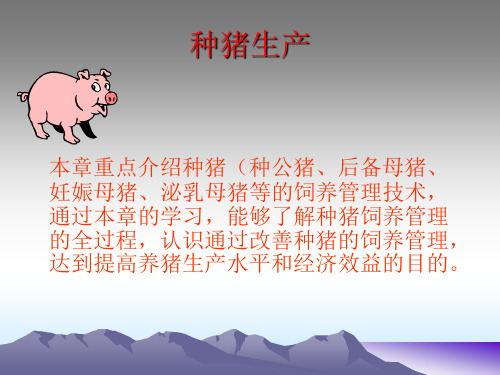 种猪生产概述(PPT 64页)