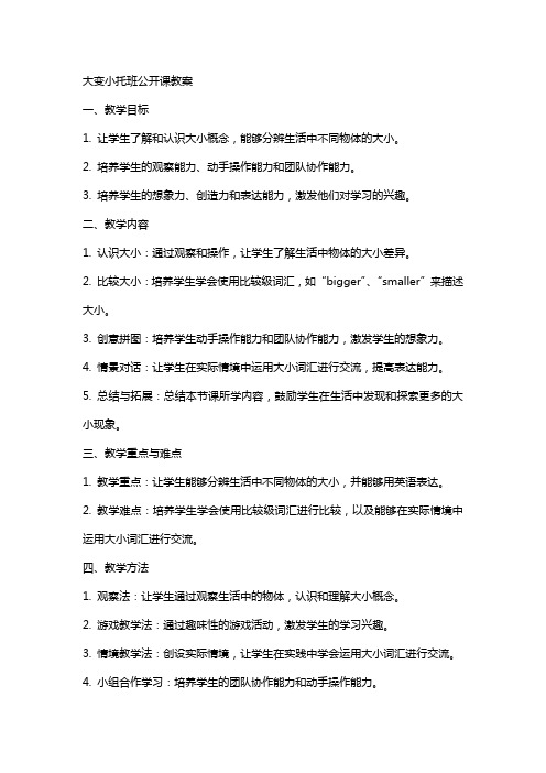 大变小托班公开课教案