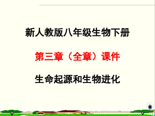 人教版初中生物八年级下册第七单元 生物圈中生命的延续和发展第三章 生命起源和生物进化课件(4)