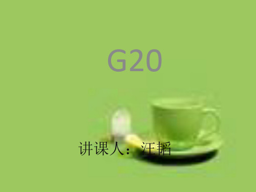 G20峰会.ppt