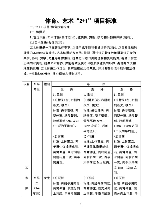 体育、艺术“2+1”项目标准