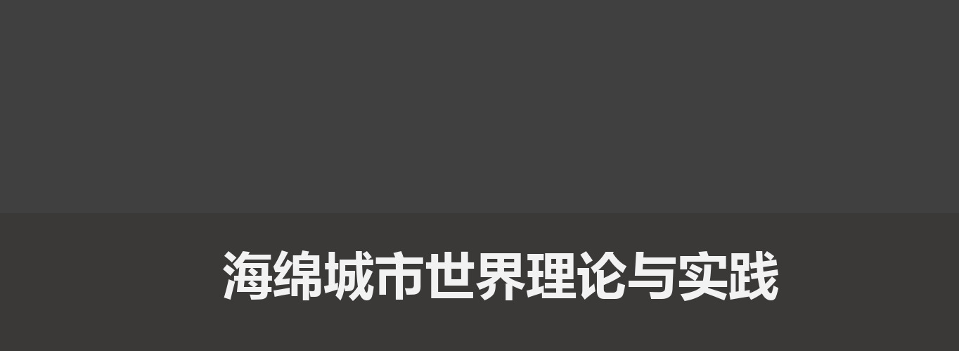 海绵城市世界理论与实践8页