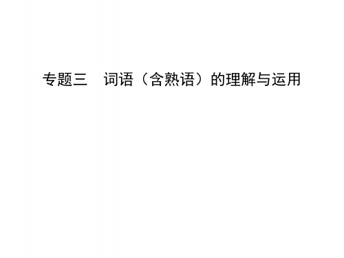 中考语文总复习第一部分积累与运用专题三词语(含熟语)的理解与运用(试题部分)课件