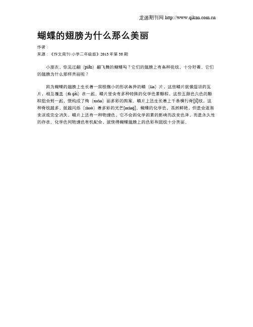 蝴蝶的翅膀为什么那么美丽