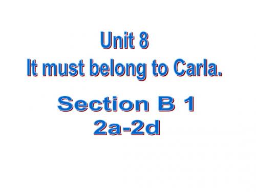 人教版新目标九年级英语Unit8 It_must_belong_to_Carla_Section_B 2a-2e