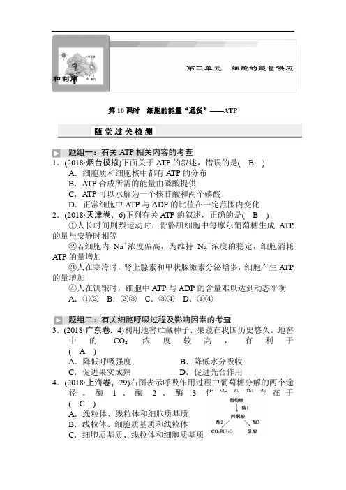 最新高中生物-高考生物ATP复习测试题 精品