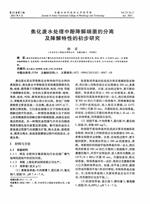 焦化废水处理中酚降解细菌的分离及降解特性的初步研究