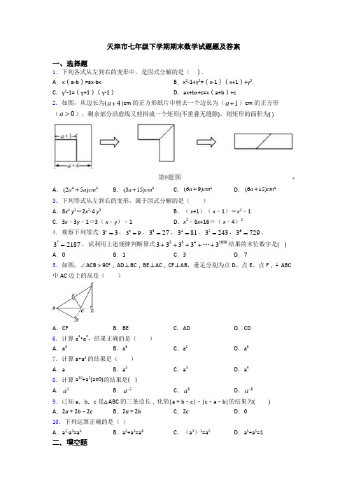 天津市七年级下学期期末数学试题题及答案