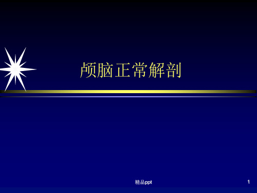 颅脑正常解剖PPT课件精选全文