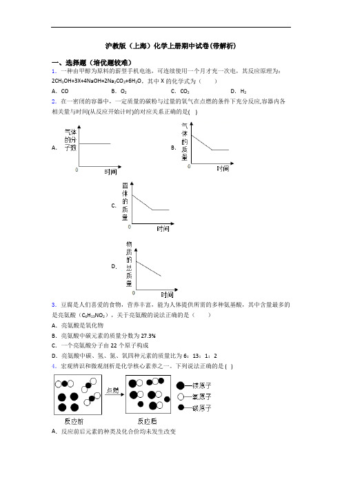 沪教版(上海)初三化学上册期中试卷(带解析)