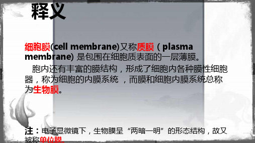 医学细胞生物学课件第四章    细胞膜_PPT幻灯片