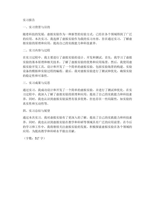 虚拟实验的实习报告