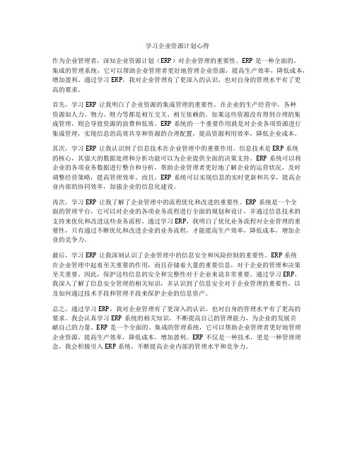 学习企业资源计划心得