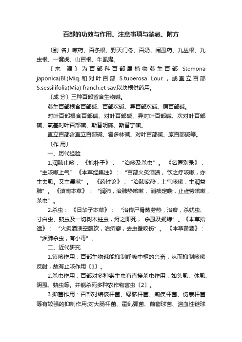 百部的功效与作用、注意事项与禁忌、附方