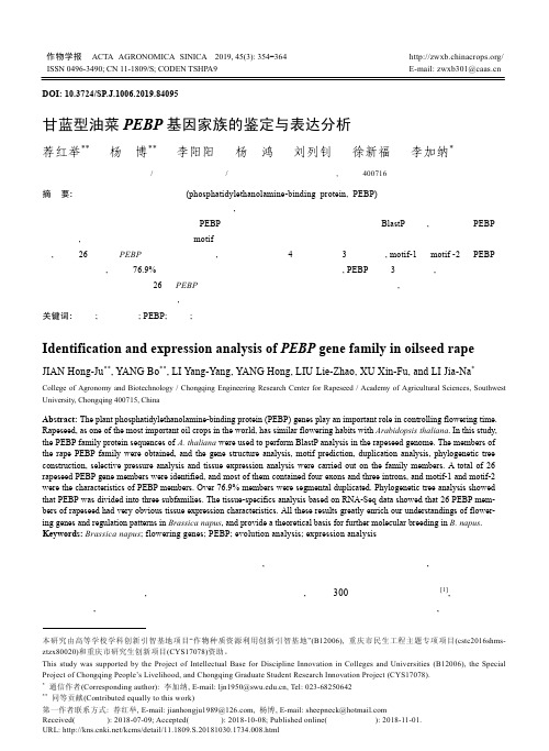 甘蓝型油菜PEBP基因家族的鉴定与表达分析
