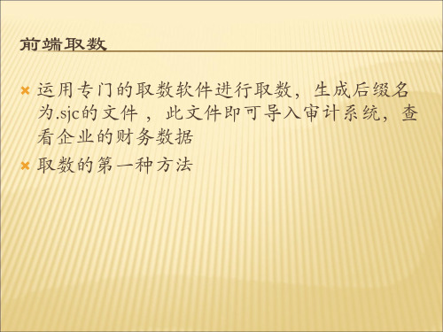 鼎信诺审计软件的四种取数方法