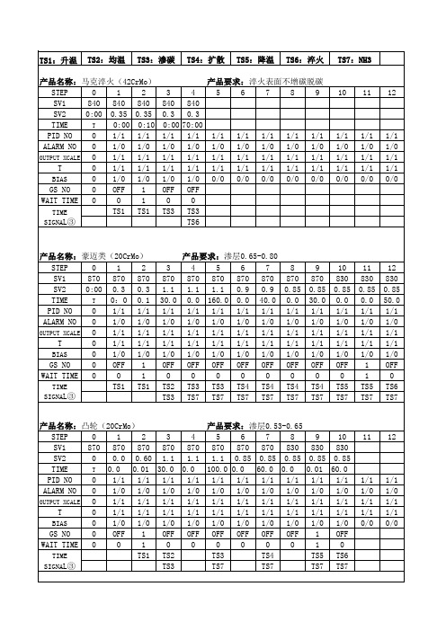 丰东多用炉CP2000仪表编程