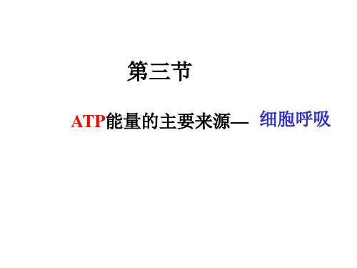 ATP能量的主要来源