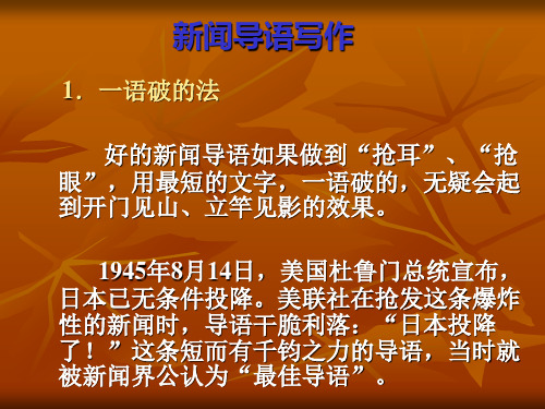 导语的写作