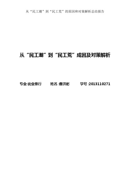 从“民工潮”到“民工荒”的原因和对策分析总结报告