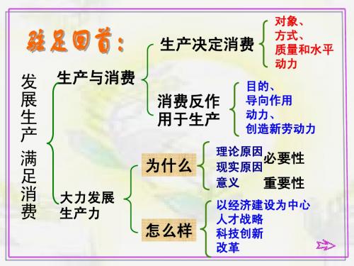 我国的基本经济制度制
